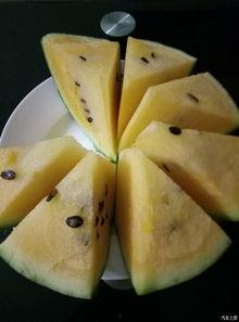 吃瓜论坛,网络舆论场上的“瓜田”风云